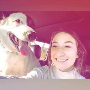 Meet your Posher, Lucy